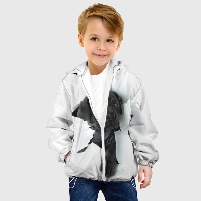 Детская куртка 3D щенок Кане Корсо фото