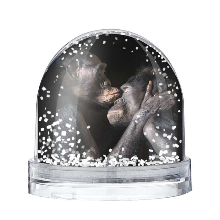 Снежный шар Шимпанзе фото