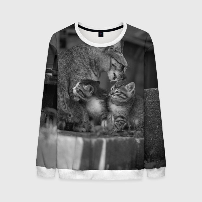 Мужской свитшот 3D Котята фото