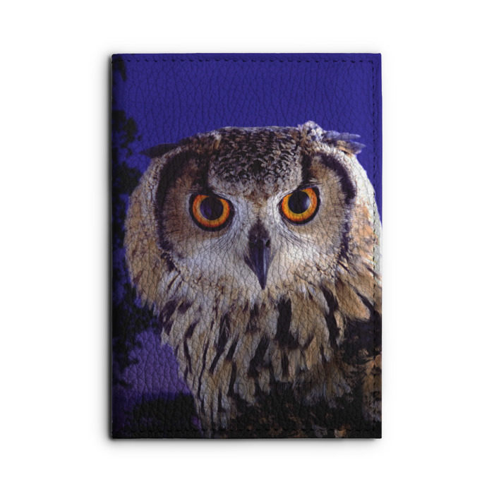 Обложка для автодокументов Сова в ночи фото