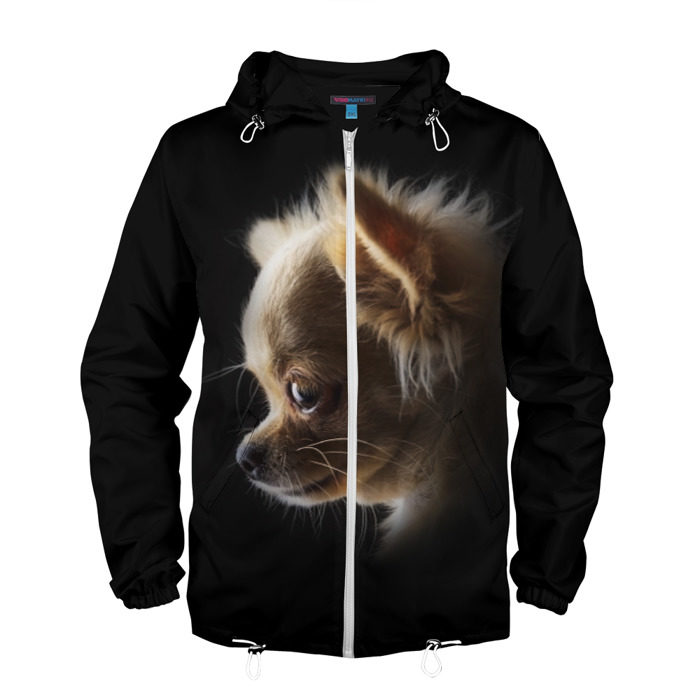 Мужская ветровка 3D Чихуахуа фото