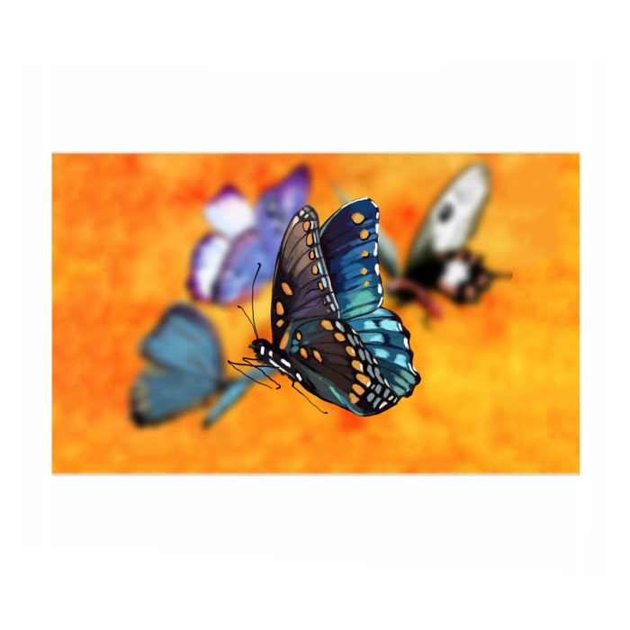 Бумага для упаковки 3D Рисунок бабочка фото