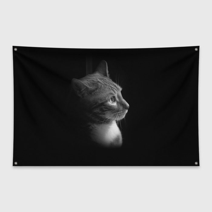 Флаг-баннер Кошка фото