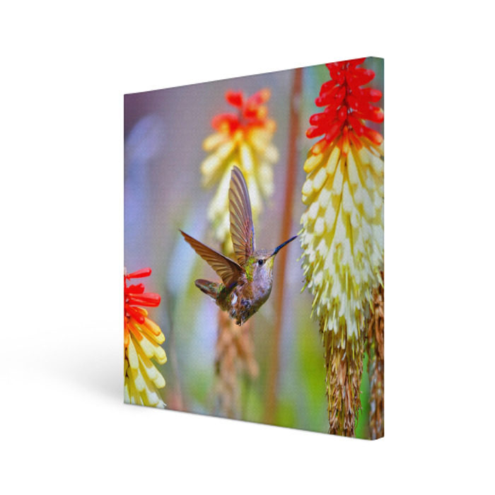 Холст квадратный Колибри фото