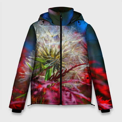 Мужская зимняя куртка 3D Одуванчик фото