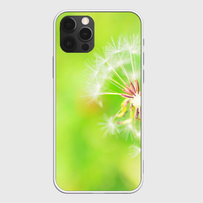 Чехол для iPhone 12 Pro Одуванчик фото