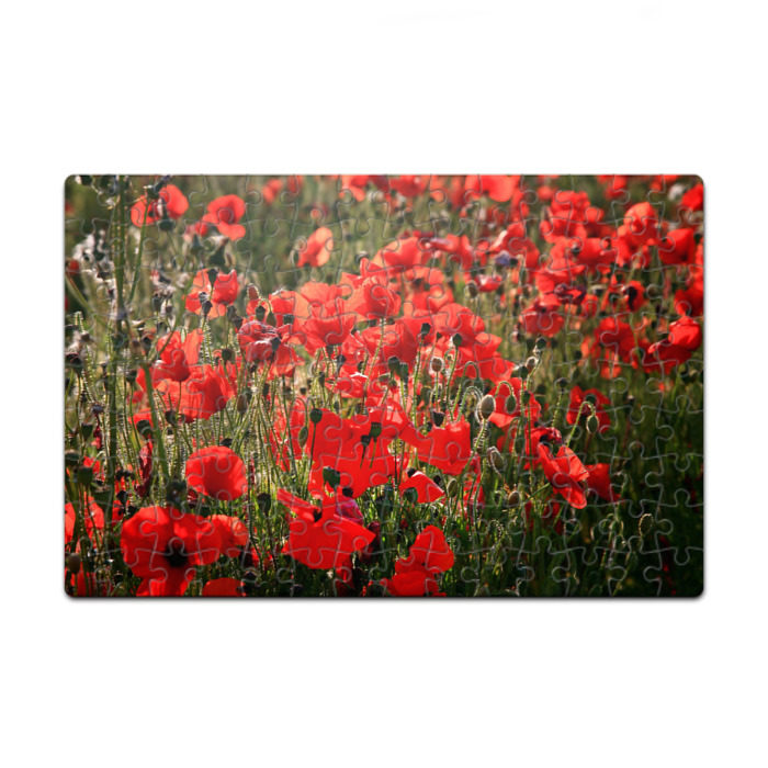 Пазл магнитный 126 элементов Маки фото