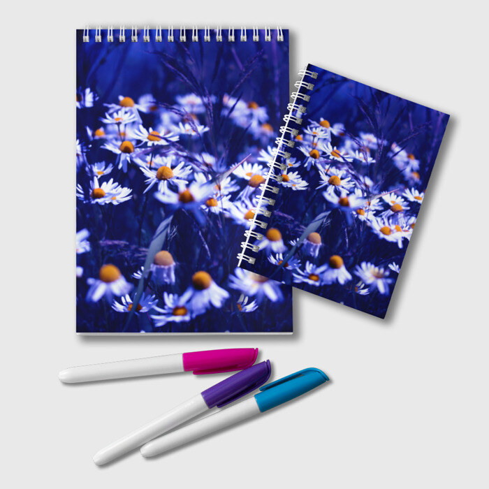 Блокнот Ромашки фото