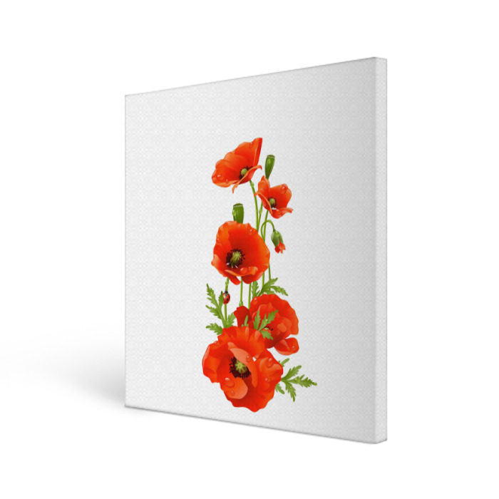 Холст квадратный Маки фото