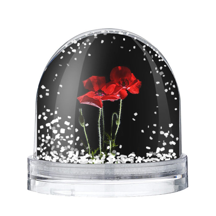 Снежный шар Маки фото