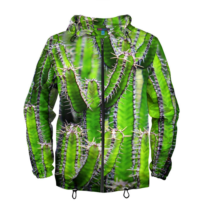 Мужская ветровка 3D Кактус фото