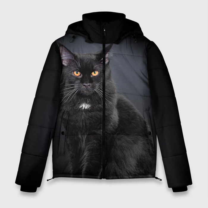 Мужская зимняя куртка 3D Мейн-кун 3 фото