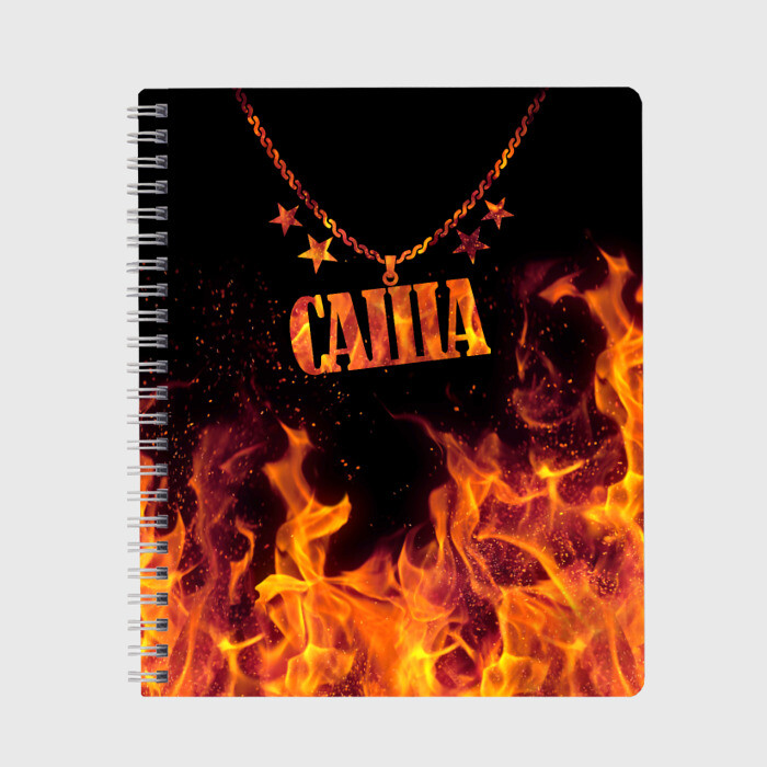 Тетрадь Саша фото