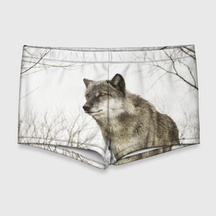 Мужские купальные плавки 3D Волк во весь рост фото