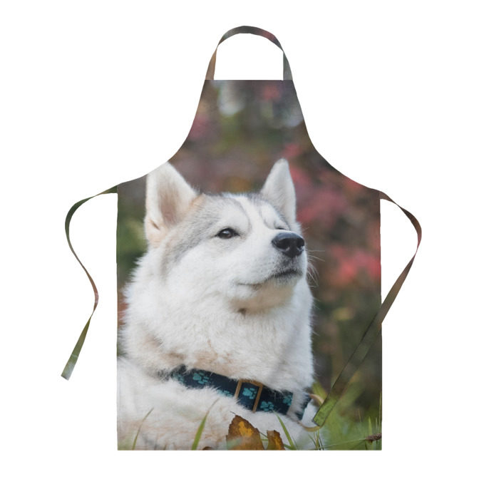Фартук 3D Хаски фото