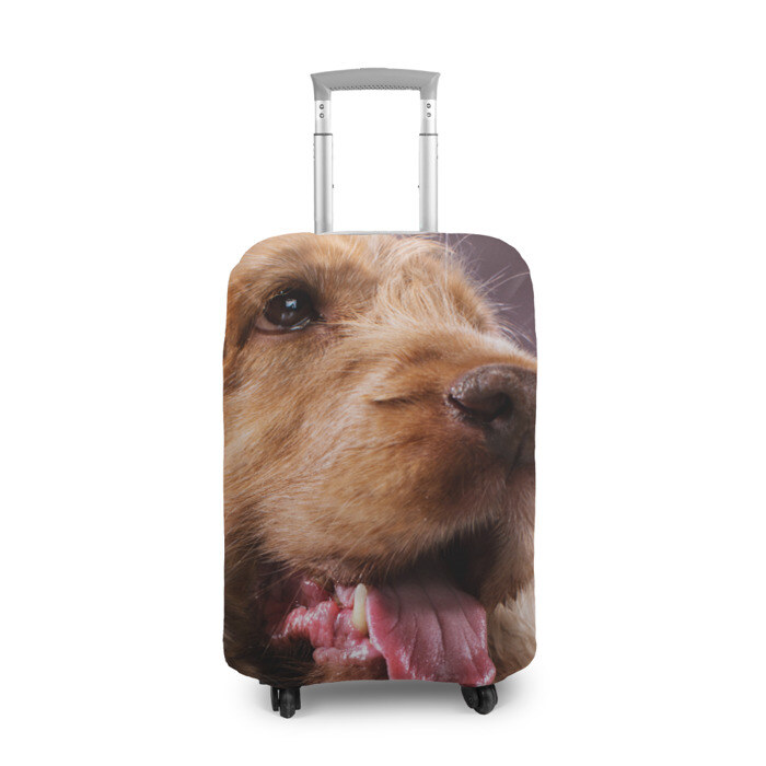 Чехол для чемодана 3D Спаниель фото