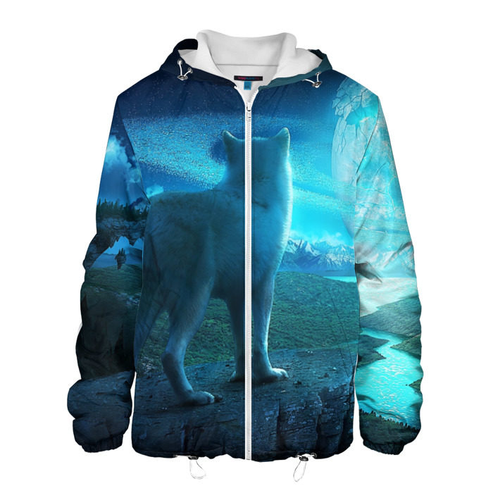 Мужская куртка 3D Blue Moon фото
