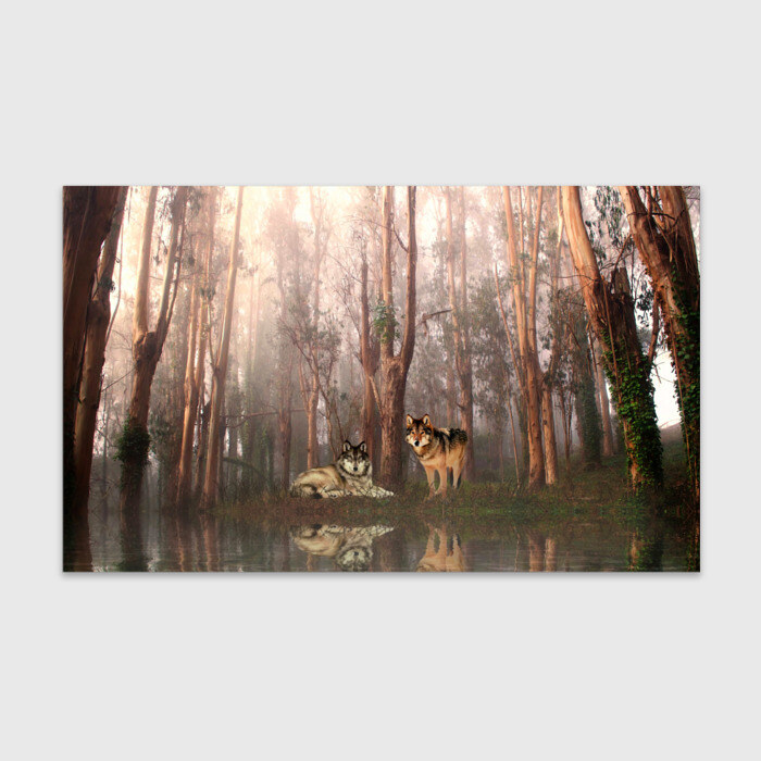 Бумага для упаковки 3D Forest фото