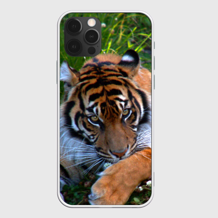 Чехол для iPhone 12 Pro Max Скромный тигр фото
