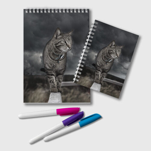 Блокнот Кот фото