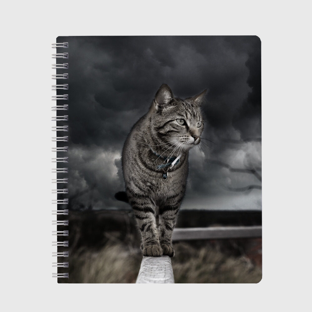 Тетрадь Кот фото