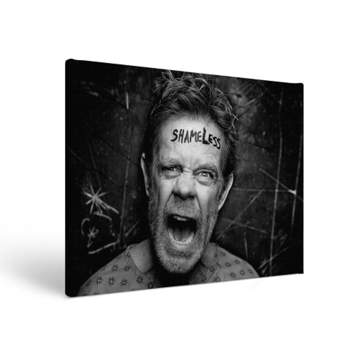 Холст прямоугольный Бесстыжие фото