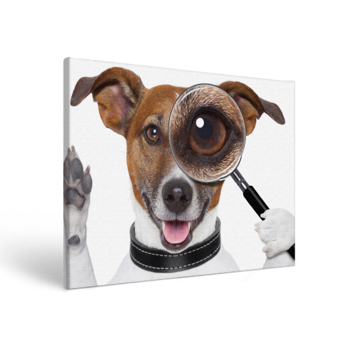 Холст прямоугольный Джек рассел с лупой фото