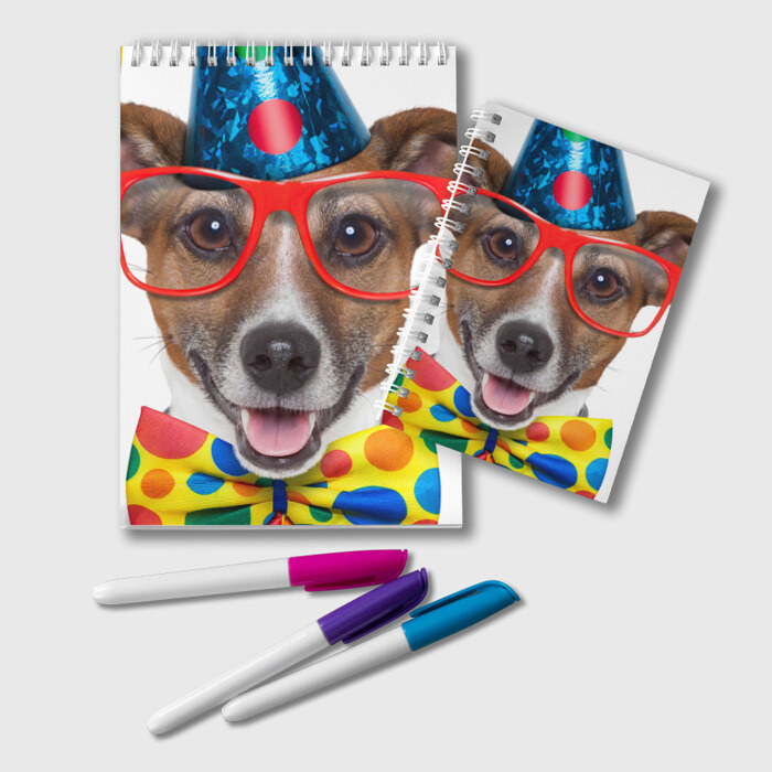 Блокнот Джек рассел - клоун фото