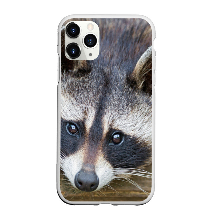 Чехол для iPhone 11 Pro матовый Енот фото