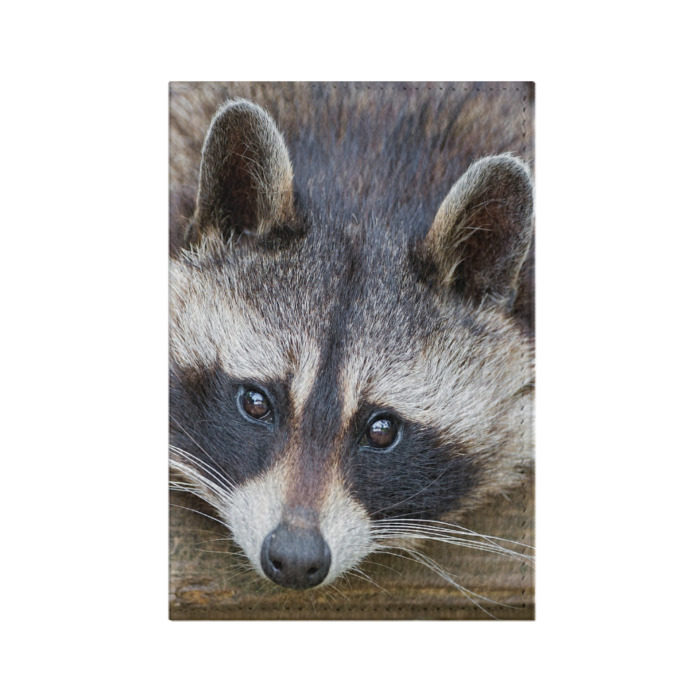 Обложка для паспорта матовая кожа Енот фото