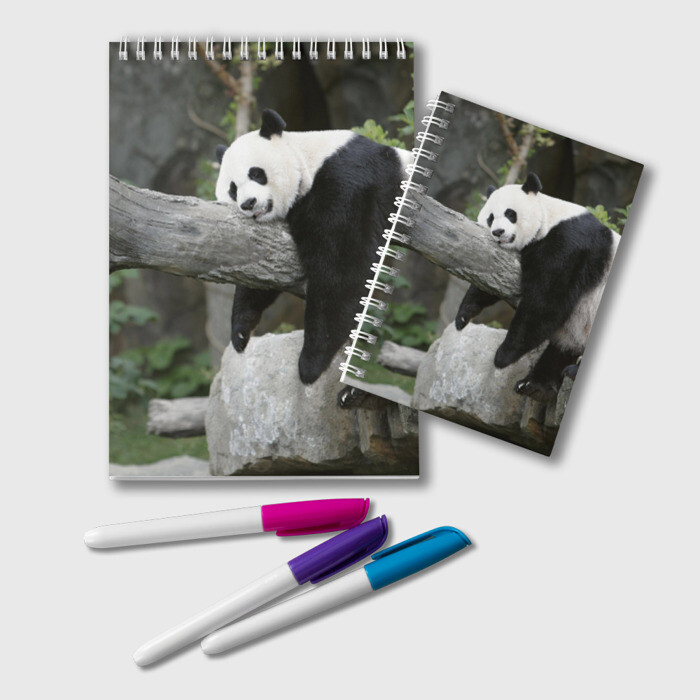 Блокнот Большая уставшая панда фото