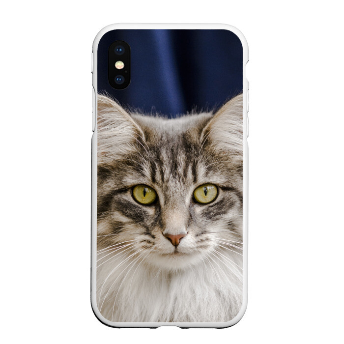 Чехол для iPhone XS Max матовый Серый кот фото