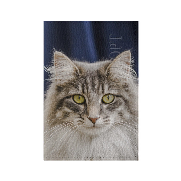 Обложка для паспорта матовая кожа Серый кот фото