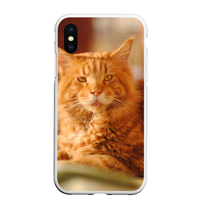 Чехол для iPhone XS Max матовый Рыжий кот фото