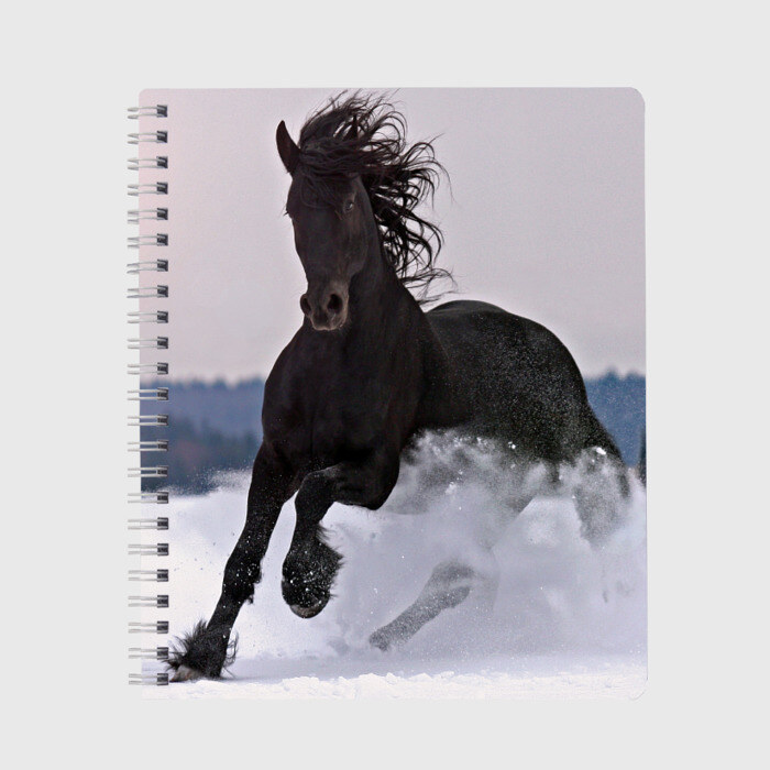 Тетрадь Грациозный конь фото