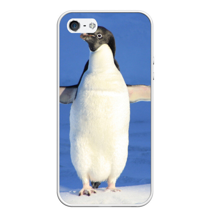 Чехол для iPhone 5/5S матовый Пингвин фото