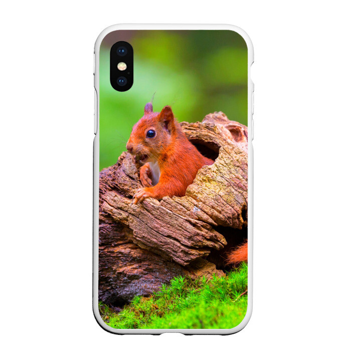 Чехол для iPhone XS Max матовый Белка фото