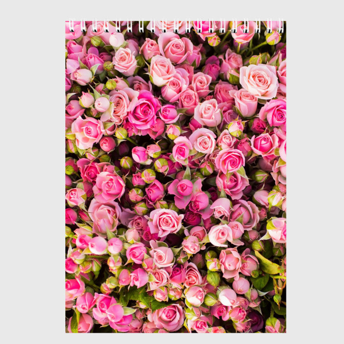 Скетчбук Розовый рай фото