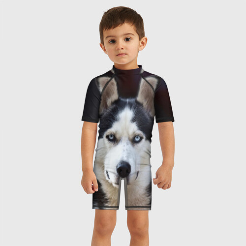 Детский купальный костюм 3D Хаски фото