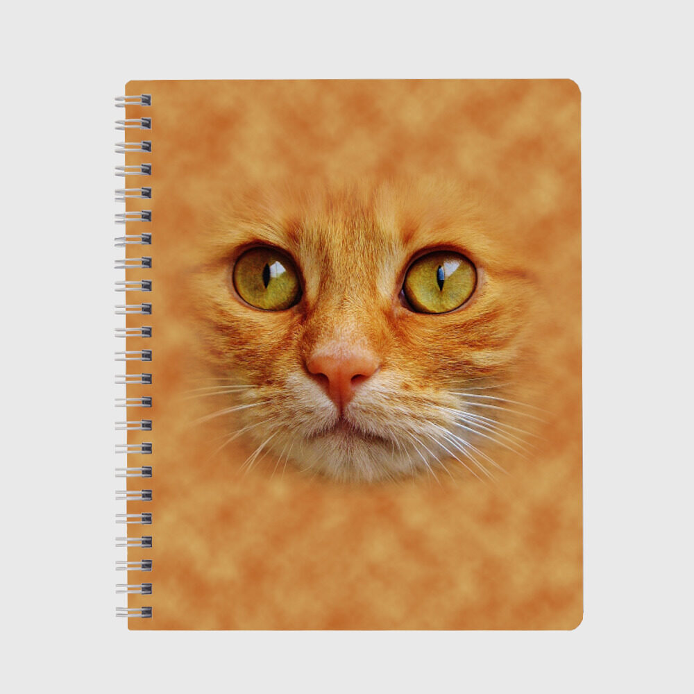 Тетрадь Котик фото