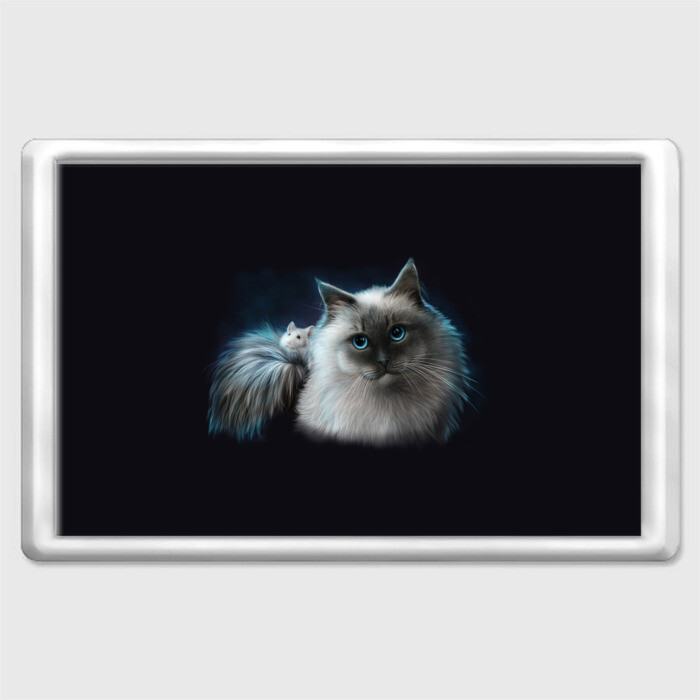 Магнит 45*70 Кошка и мышка фото