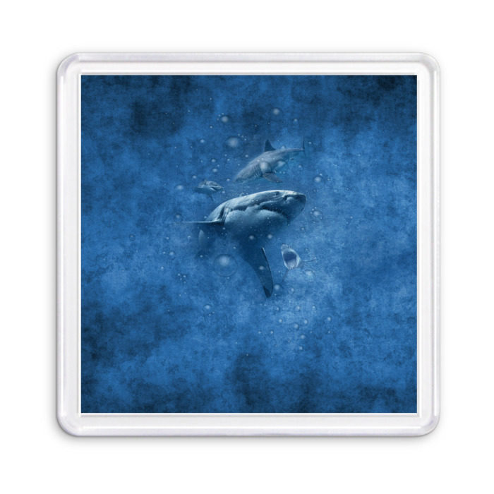 Магнит 55*55 Shark фото