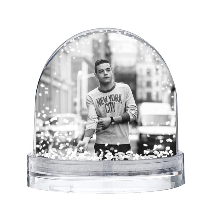 Снежный шар Rami Malek фото