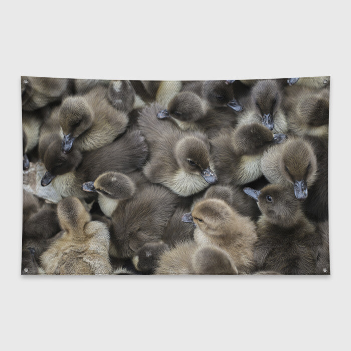 Флаг-баннер Пушистые утята фото