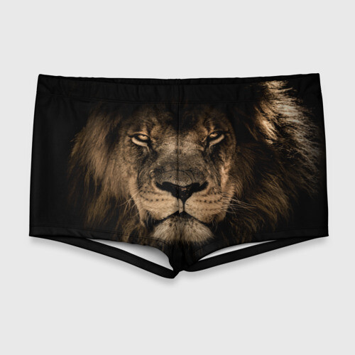 Мужские купальные плавки 3D Лев фото