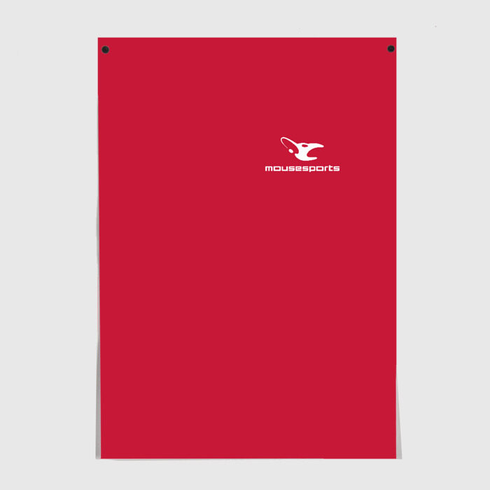 Постер cs:go - Mousesports (2018) фото