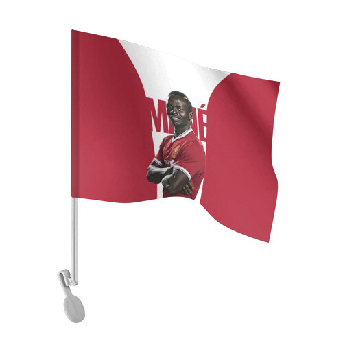 Флаг для автомобиля Mane фото