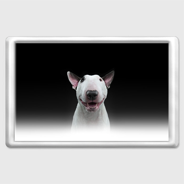 Магнит 45*70 Oh snap! фото