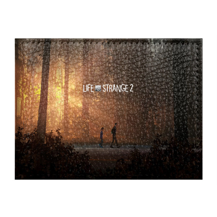 Обложка для студенческого билета Life is Strange фото