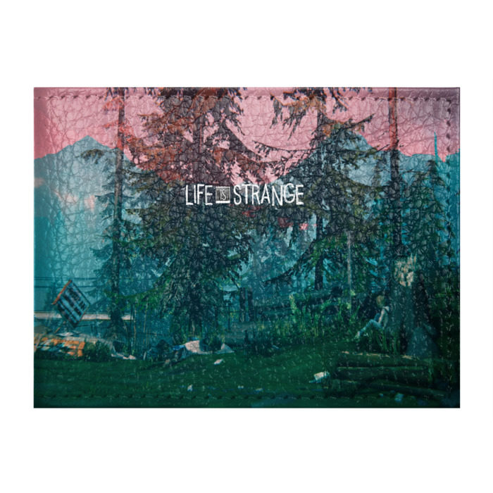 Обложка для студенческого билета Life IS Strange фото